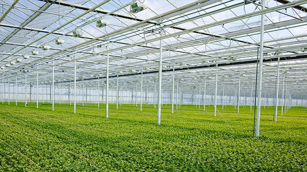 智能傳感器 智能傳感器